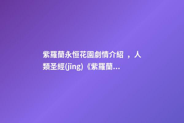 紫羅蘭永恒花園劇情介紹，人類圣經(jīng)《紫羅蘭永恒花園》表現(xiàn)不盡人意-第1張-觀點-玄機派
